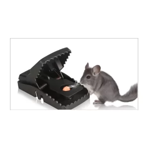 Heavy-Duty Snap Mouse Trap | 100% Effective & Washable Rat Trap | Premium Quality